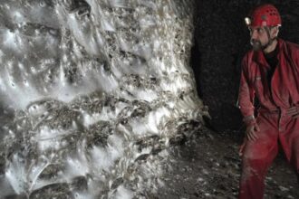 Scientists Have Found The World’s Largest Spider Web