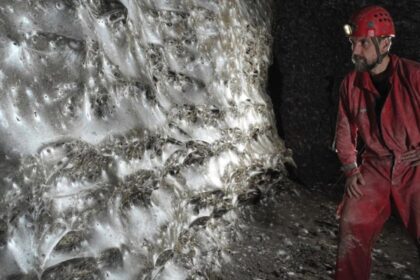 Scientists Have Found The World’s Largest Spider Web