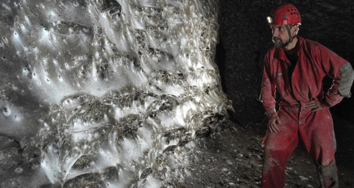 Scientists Have Found The World’s Largest Spider Web