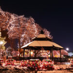 America’s Best Destinations to Visit This Winter, Ranked by Crucial Factors