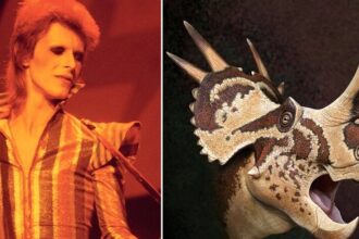 New Dinosaur With Star-Like Skull Named After David Bowie