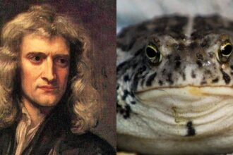 Isaac Newton Proposed Using Toad Vomit For The Bubonic Plague