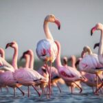 10 Bizarre Foods from the Ancient World That People Still Eat