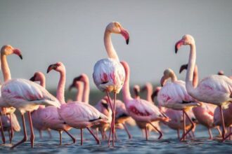 10 Bizarre Foods from the Ancient World That People Still Eat