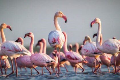 10 Bizarre Foods from the Ancient World That People Still Eat