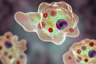 10 Appalling Protozoans You Don’t Want to Encounter