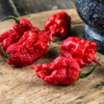 10 Funny Cases of Nominative Determinism