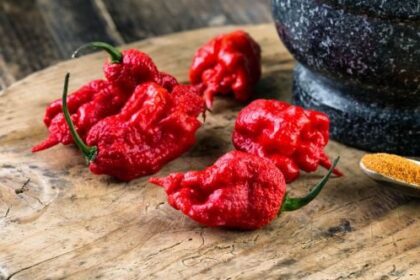 10 Funny Cases of Nominative Determinism