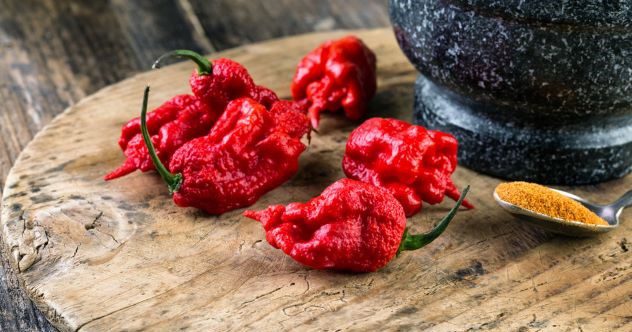 10 Funny Cases of Nominative Determinism