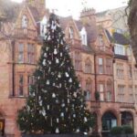 10 Ways Your Christmas Tree Is More Lit Than You Think