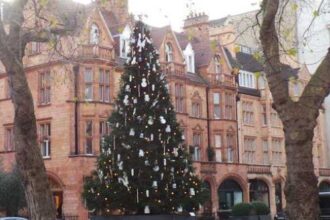 10 Ways Your Christmas Tree Is More Lit Than You Think