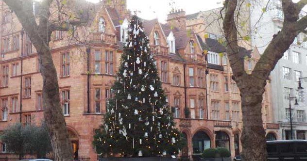 10 Ways Your Christmas Tree Is More Lit Than You Think