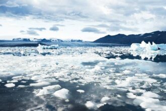Scientists Baffled By Chlamydia Discovery In The Arctic Ocean