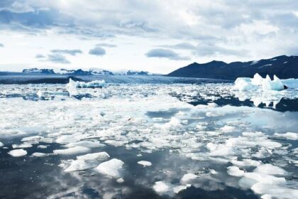 Scientists Baffled By Chlamydia Discovery In The Arctic Ocean