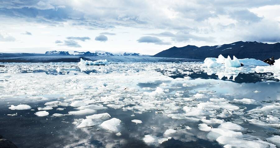 Scientists Baffled By Chlamydia Discovery In The Arctic Ocean