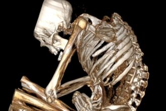 Chilean Mummy Died In Turquoise Mine Collapse 1,100 Years Ago