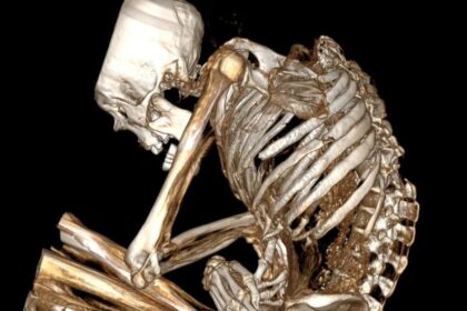 Chilean Mummy Died In Turquoise Mine Collapse 1,100 Years Ago