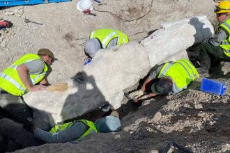 Dinosaur Found During Construction At National Monument In Utah