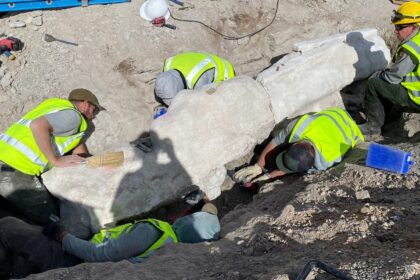 Dinosaur Found During Construction At National Monument In Utah