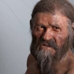Ötzi The Iceman Sheds Light On Origins Of HPV