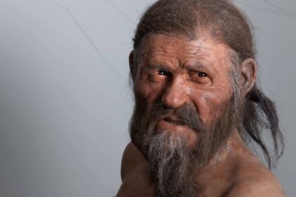 Ötzi The Iceman Sheds Light On Origins Of HPV