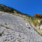 Prehistoric Sea Turtle Tracks Found By Italian Rock Climbers