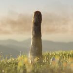 Scientists May Have Discovered A New Form Of Life