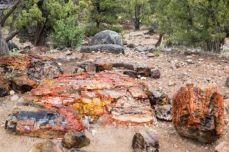 10 Unsolved American Mysteries – Listverse