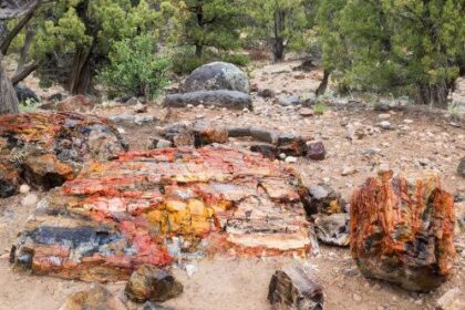 10 Unsolved American Mysteries – Listverse