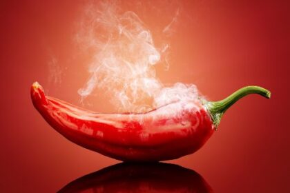 10 Peppers Every Spice Lover Needs to Eat at Least Once