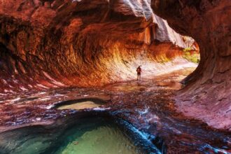 10 Terrifying and Unfortunate National Park Deaths