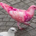 10 Fascinating Small Town Mysteries and Secrets