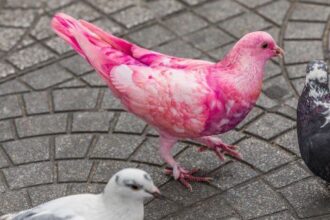 10 Fascinating Small Town Mysteries and Secrets