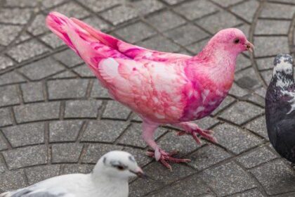 10 Fascinating Small Town Mysteries and Secrets