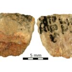 Arrow Poison Identified On Prehistoric Arrows From South Africa