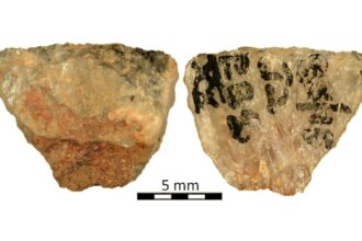 Arrow Poison Identified On Prehistoric Arrows From South Africa
