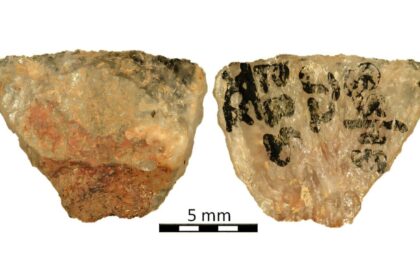 Arrow Poison Identified On Prehistoric Arrows From South Africa