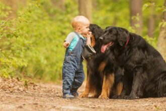 Ten Incredibly Unsettling Stories of Feral Children