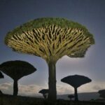 10 Places with Geological Features That Shouldn’t Exist