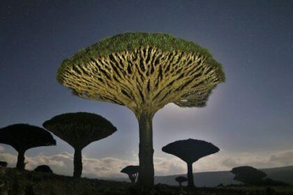 10 Places with Geological Features That Shouldn’t Exist