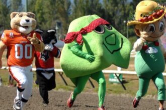 Top 10 Weird Mascots You Might Not Have Heard About