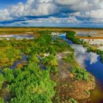 10 Chilling Accounts of Disappearances in Everglades National Park