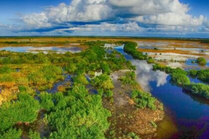 10 Chilling Accounts of Disappearances in Everglades National Park