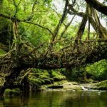 10 Unusual Bridges from Around the World You Need to Visit