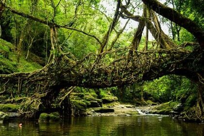 10 Unusual Bridges from Around the World You Need to Visit