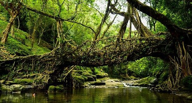 10 Unusual Bridges from Around the World You Need to Visit