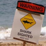 The World’s 10 Most Dangerous Beaches