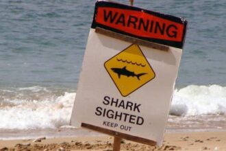 The World’s 10 Most Dangerous Beaches