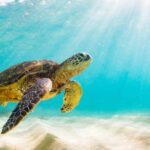 10 Amazing and Unexpected Ways Experts Guess the Age of Things