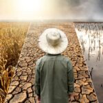 7 Things Everyone Can Do to Help Fight Climate Change